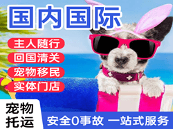 天水麦积山机场货运国际宠物托运 【国